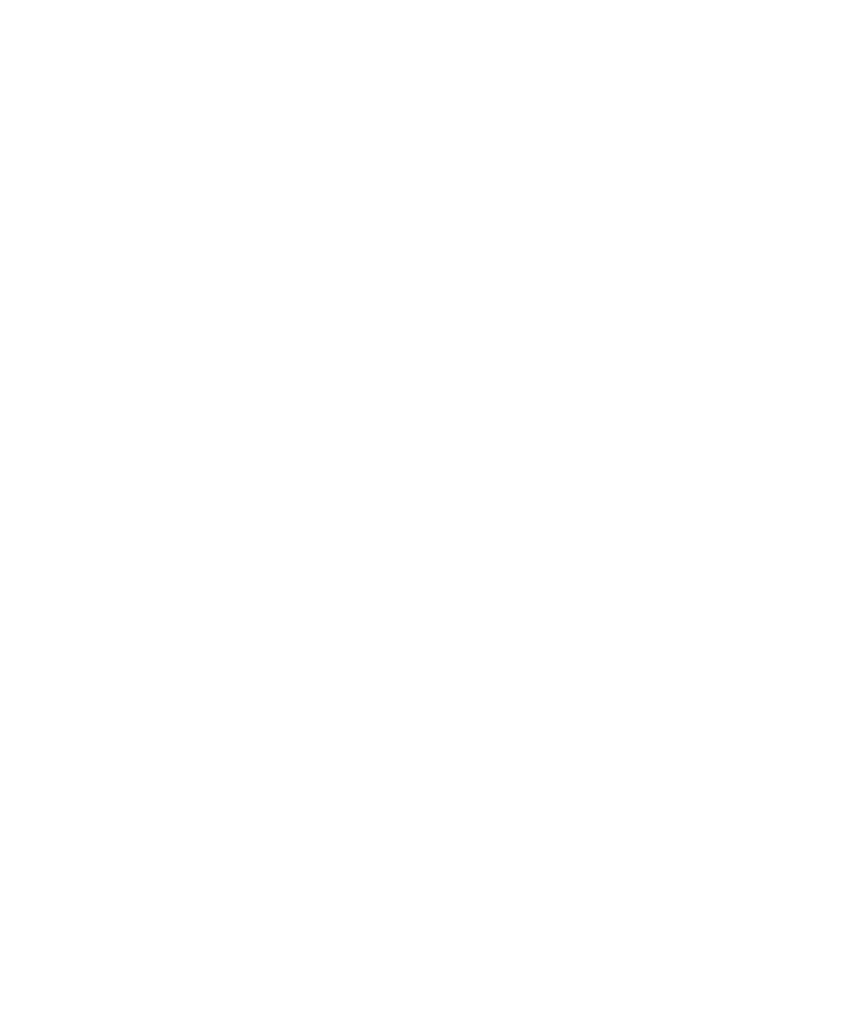 Safari